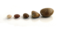Sustainability Milestones